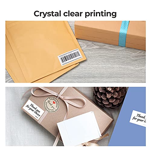 MUNBYN 941BP 300DPI Bluetooth Printer & Rectangle Labels Supplement Product Starter Kit