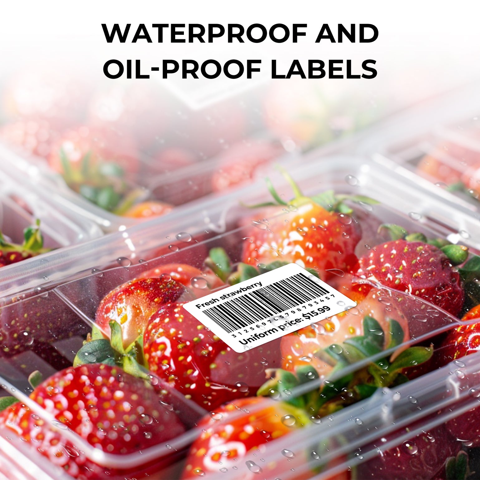 3" x 2" Generic Labels