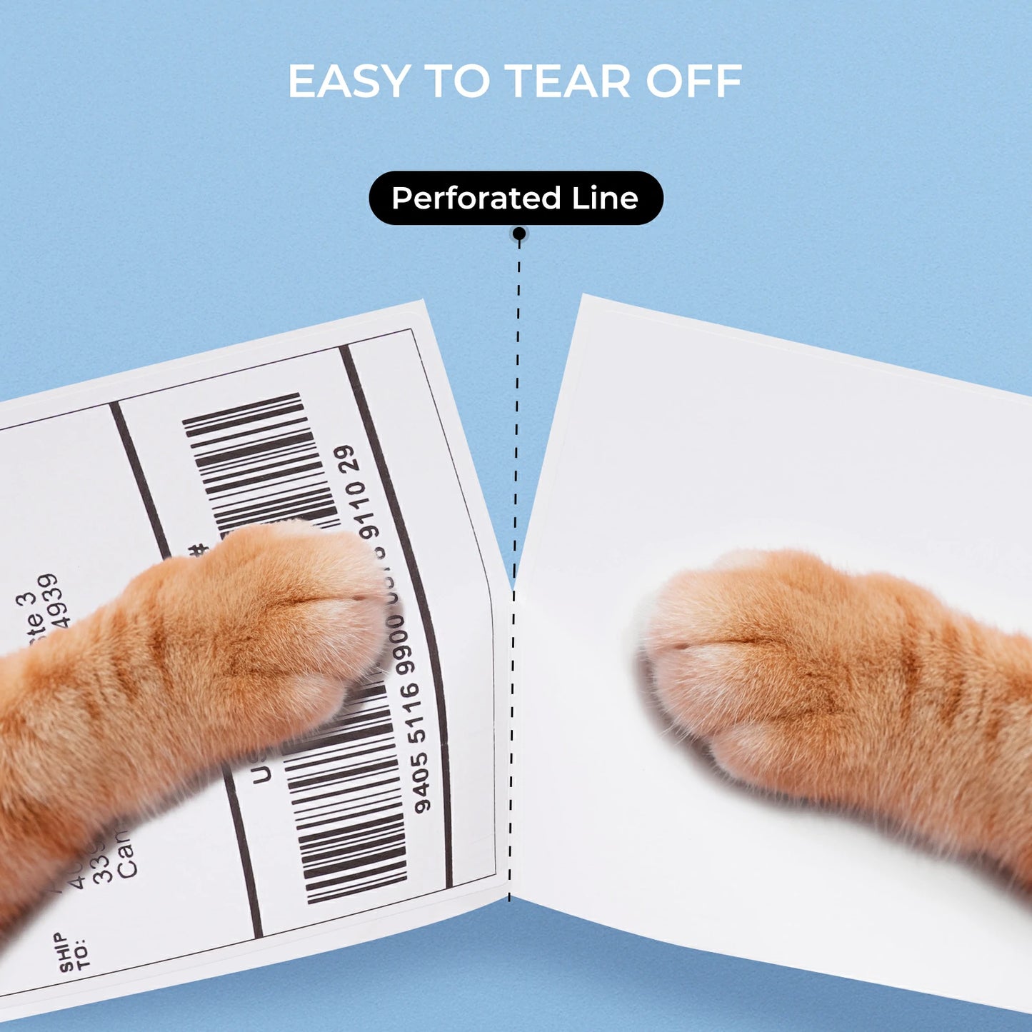 MUNBYN 4"x6" Direct Thermal Shipping Labels (500/Roll)