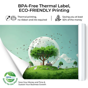 MUNBYN high-quality A4 paper rolls are BPS/BPA free, ensuring they are safe for both users and the environment. 